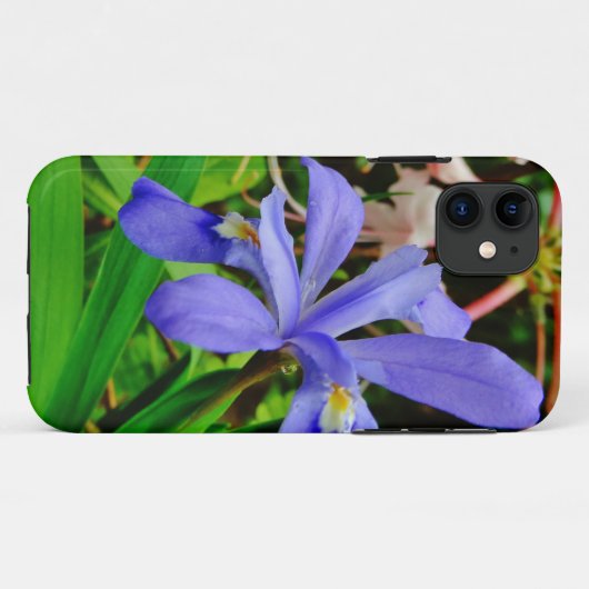 Crested Dwarf Iris Case-Mate iPhone Case (Achterkant (horizontaal))