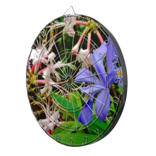 Crested Dwarf Iris Dartbord (Voorkant Rechts)