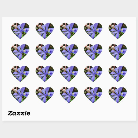 Crested Dwarf Iris Hart Sticker (Vel)