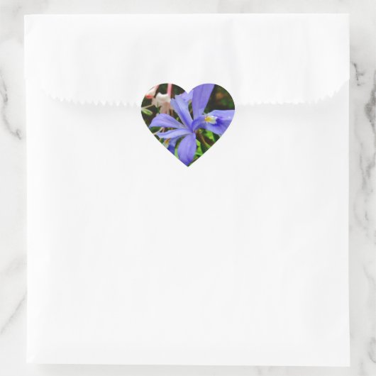 Crested Dwarf Iris Hart Sticker (Tas)