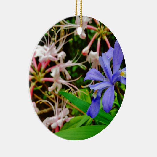 Crested Dwarf Iris Keramisch Ornament (Rechts)