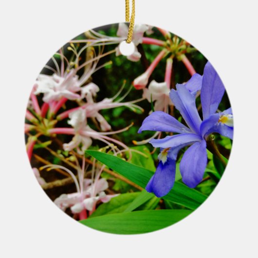 Crested Dwarf Iris Keramisch Ornament (Voorkant)