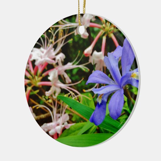Crested Dwarf Iris Keramisch Ornament (Links)