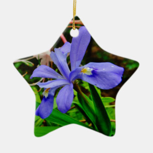 Crested Dwarf Iris Keramisch Ornament