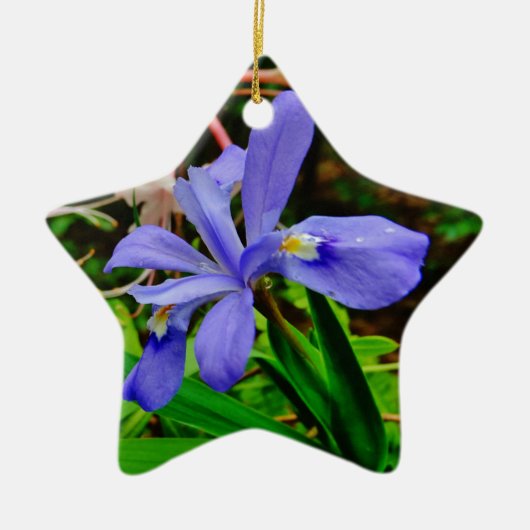 Crested Dwarf Iris Keramisch Ornament (Voorkant)