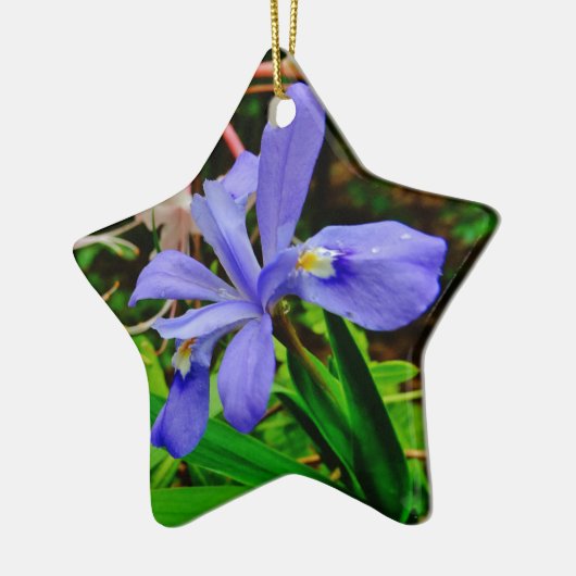 Crested Dwarf Iris Keramisch Ornament (Links)