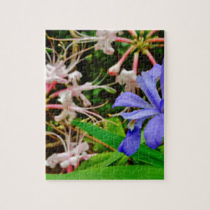 Crested Dwarf Iris Legpuzzel