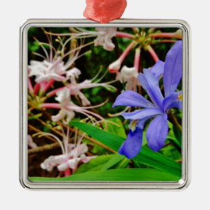 Crested Dwarf Iris Metalen Ornament