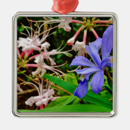 Crested Dwarf Iris Metalen Ornament (Voorkant)