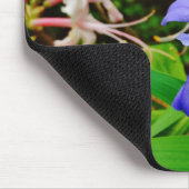 Crested Dwarf Iris Muismat (Hoek)