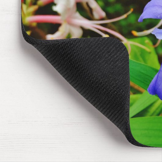 Crested Dwarf Iris Muismat (Hoek)