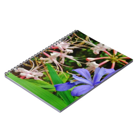 Crested Dwarf Iris Notitieboek (Linkerzijde)