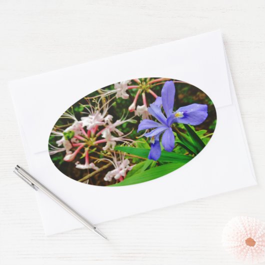 Crested Dwarf Iris Ovale Sticker (Envelop)