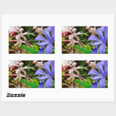 Crested Dwarf Iris Rechthoekige Sticker (Vel)