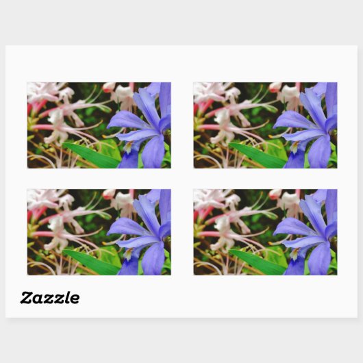 Crested Dwarf Iris Rechthoekige Sticker (Vel)