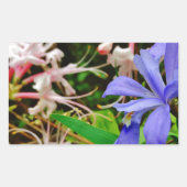 Crested Dwarf Iris Rechthoekige Sticker (Voorkant)