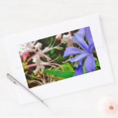 Crested Dwarf Iris Rechthoekige Sticker (Envelop)