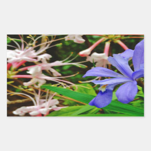 Crested Dwarf Iris Rechthoekige Sticker