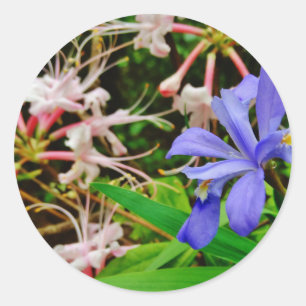 Crested Dwarf Iris Ronde Sticker