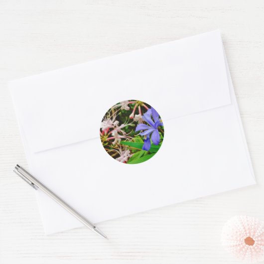Crested Dwarf Iris Ronde Sticker (Envelop)