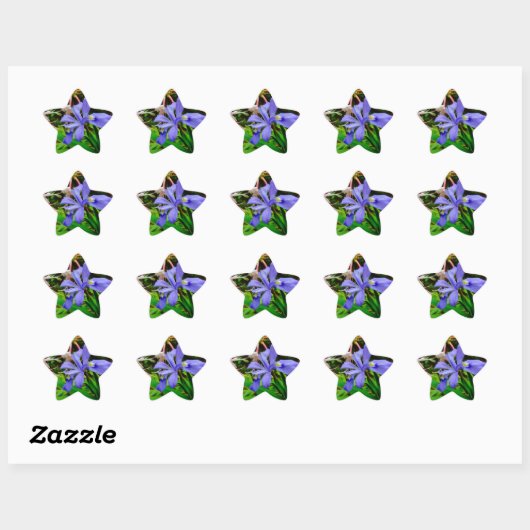 Crested Dwarf Iris Ster Sticker (Vel)