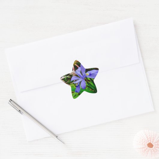 Crested Dwarf Iris Ster Sticker (Envelop)
