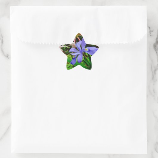 Crested Dwarf Iris Ster Sticker (Tas)