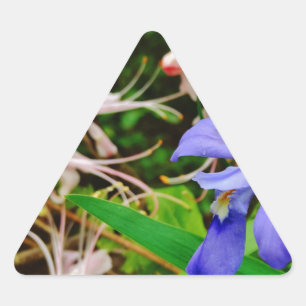 Crested Dwarf Iris Sticker