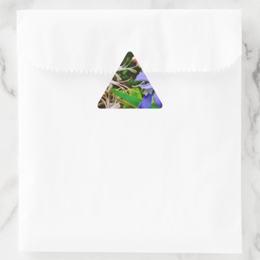 Crested Dwarf Iris Sticker (Tas)