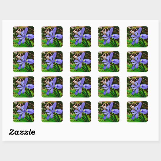 Crested Dwarf Iris Vierkante Sticker (Vel)
