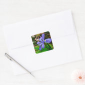 Crested Dwarf Iris Vierkante Sticker