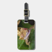 Crested Gecko Bagagelabel (Voorkant verticaal)