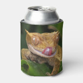 Crested Gecko Blikjeskoeler (Blikje Voorkant)