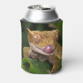 Crested Gecko Blikjeskoeler (Blikje Achterkant)