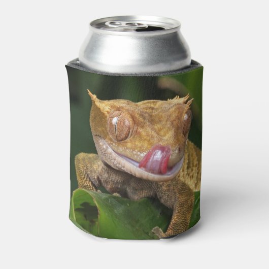 Crested Gecko Blikjeskoeler (Blikje Achterkant)