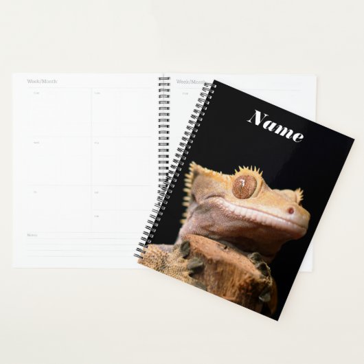 Crested Gecko hagedis op zwart Planner (Display)