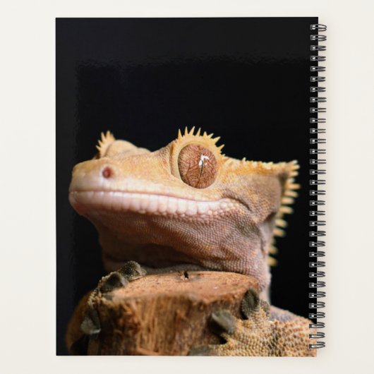 Crested Gecko hagedis op zwart Planner (Achterkant)