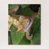 Crested Gecko Legpuzzel (Verticaal)