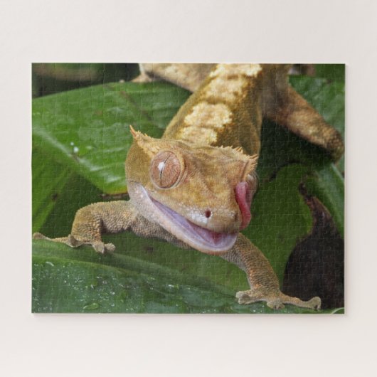 Crested Gecko Legpuzzel (Horizontaal)