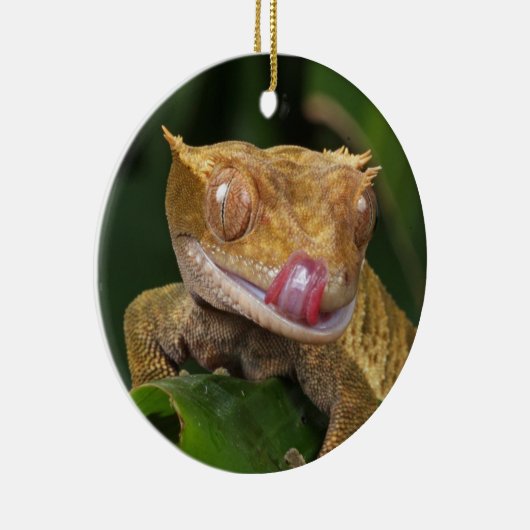 Crested Gecko Lizard Keramisch Ornament (Rechts)