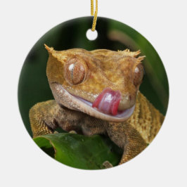 Crested Gecko Lizard Keramisch Ornament