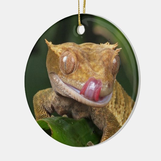 Crested Gecko Lizard Keramisch Ornament (Links)