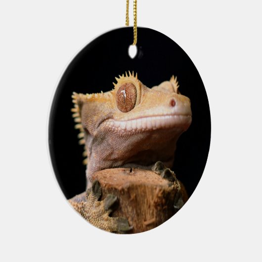 Crested Gecko Lizard op Black Ceramic Ornament (Rechts)