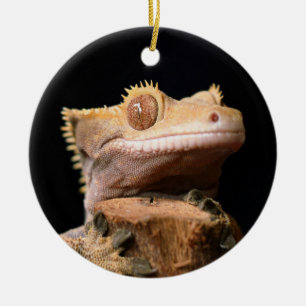 Crested Gecko Lizard op Black Ceramic Ornament