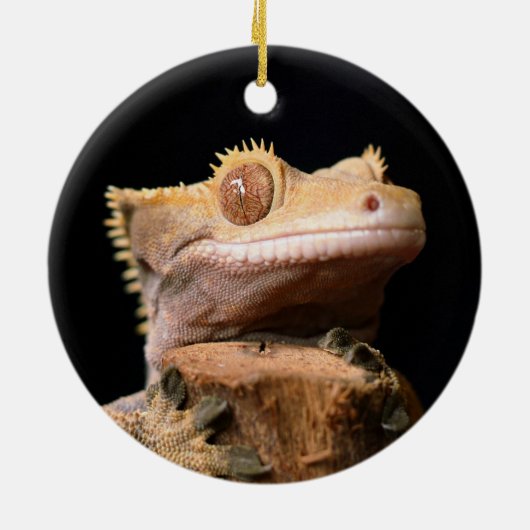 Crested Gecko Lizard op Black Ceramic Ornament (Achterkant)