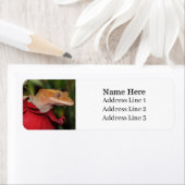 Crested Gecko Lizard op een Roos Retouradres Etiket (Insitu)