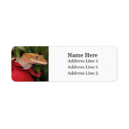 Crested Gecko Lizard op een Roos Retouradres Etiket