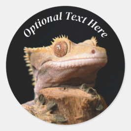 Crested Gecko Lizard op zwart Ronde Sticker