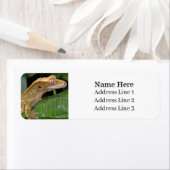 Crested Gecko Lizard Retouradres Etiket (Insitu)
