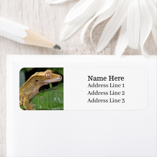 Crested Gecko Lizard Retouradres Etiket (Insitu)
